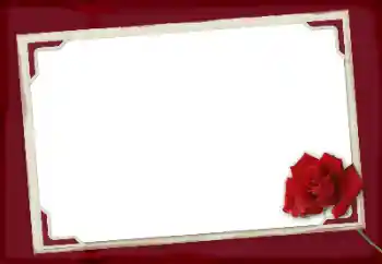 Photo effect from category Women's photo frames № 125924