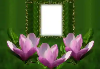 Photo effect from category Women's photo frames № 126934