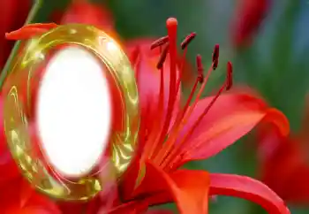 Photo effect from category Women's photo frames № 126945