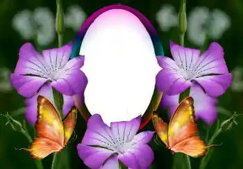 Photo effect from category Women's photo frames № 126946