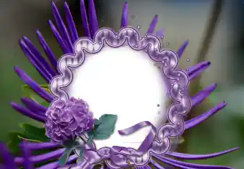 Photo effect from category Women's photo frames № 126947