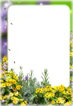 Photo effect from category Women's photo frames № 127113