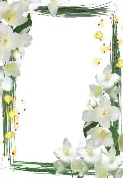 Photo effect from category Women's photo frames № 127290 Photo effect from category Women's photo frames № 127290