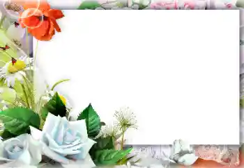 Photo effect from category Women's photo frames № 127301 Photo effect from category Women's photo frames № 127301