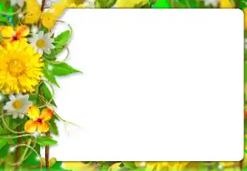 Photo effect from category Women's photo frames № 127303