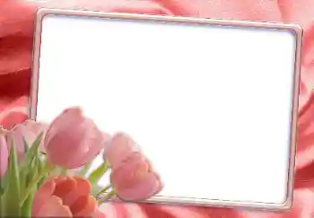 Photo effect from category Women's photo frames № 12865