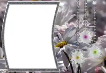 Photo effect from category Women's photo frames № 12890