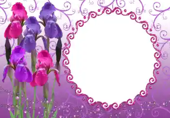 Photo effect from category Women's photo frames № 12894