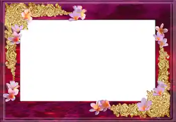 Photo effect from category Women's photo frames № 12896