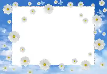 Photo effect from category Women's photo frames № 12899