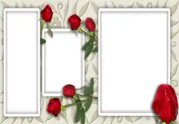 Photo effect from category Women's photo frames № 12947