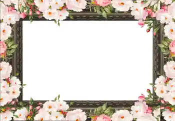 Photo effect from category Women's photo frames № 130792 Photo effect from category Women's photo frames № 130792