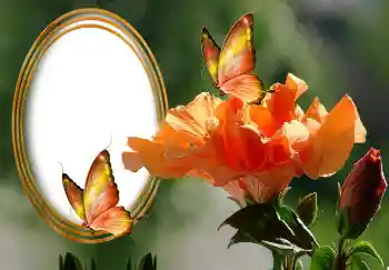 Photo effect from category Women's photo frames № 131127
