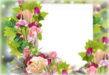 Photo effect from category Women's photo frames № 131178 Photo effect from category Women's photo frames № 131178