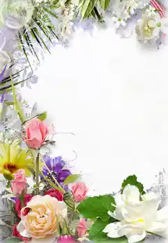 Photo effect from category Women's photo frames № 131210