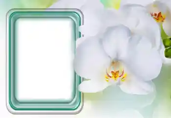 Photo effect from category Women's photo frames № 131485