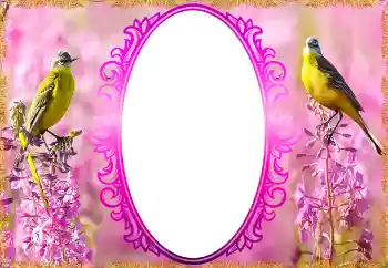 Photo effect from category Women's photo frames № 132879