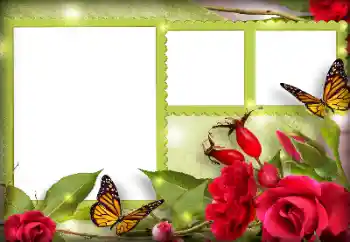 Photo effect from category Women's photo frames № 134497 Photo effect from category Women's photo frames № 134497