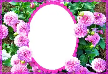 Photo effect from category Women's photo frames № 135504 Photo effect from category Women's photo frames № 135504