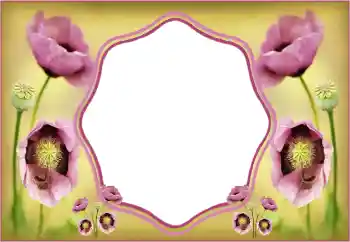 Photo effect from category Women's photo frames № 135508 Photo effect from category Women's photo frames № 135508