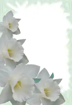 Photo effect from category Women's photo frames № 13900