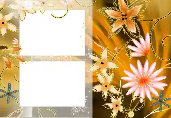Photo effect from category Women's photo frames № 13909