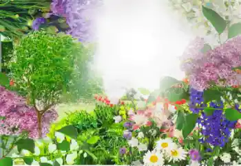 Photo effect from category Women's photo frames № 13913