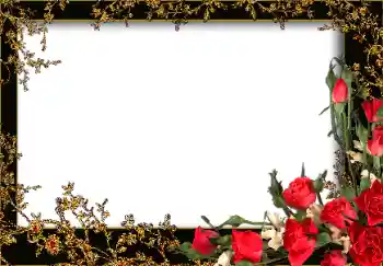 Photo effect from category Women's photo frames № 13953