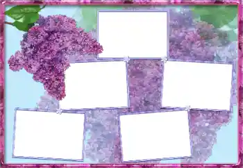 Photo effect from category Women's photo frames № 13954