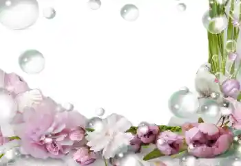 Photo effect from category Women's photo frames № 139757 Photo effect from category Women's photo frames № 139757