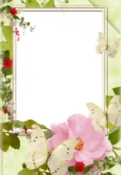 Photo effect from category Women's photo frames № 139758 Photo effect from category Women's photo frames № 139758