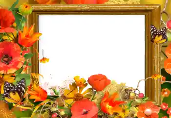 Photo effect from category Women's photo frames № 139911 Photo effect from category Women's photo frames № 139911