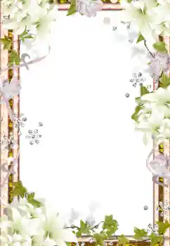 Photo effect from category Women's photo frames № 139915 Photo effect from category Women's photo frames № 139915