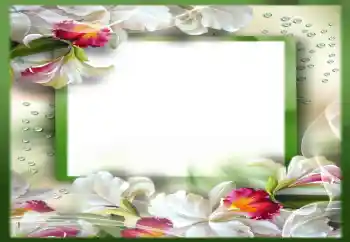 Photo effect from category Women's photo frames № 142310 Photo effect from category Women's photo frames № 142310