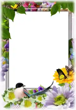 Photo effect from category Women's photo frames № 142332 Photo effect from category Women's photo frames № 142332