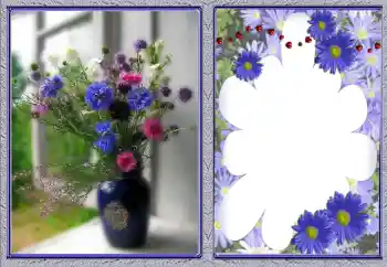 Photo effect from category Women's photo frames № 142378 Photo effect from category Women's photo frames № 142378