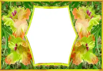 Photo effect from category Women's photo frames № 143517