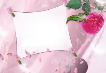 Photo effect from category Women's photo frames № 143586