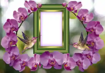 Photo effect from category Women's photo frames № 143676