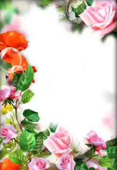 Photo effect from category Women's photo frames № 143693