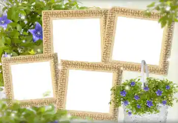 Photo effect from category Women's photo frames № 143738