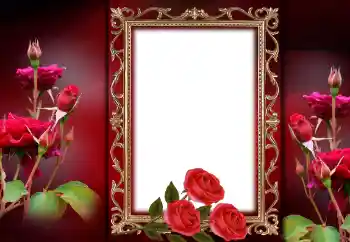 Photo effect from category Women's photo frames № 143757