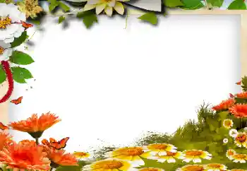 Photo effect from category Women's photo frames № 143768