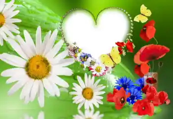 Photo effect from category Women's photo frames № 143780