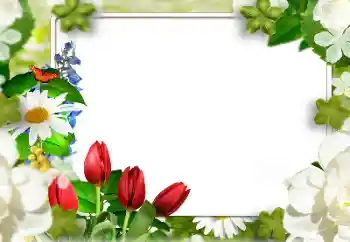 Photo effect from category Women's photo frames № 143811