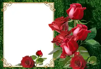 Photo effect from category Women's photo frames № 145105