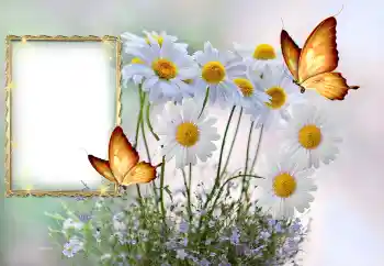 Photo effect from category Women's photo frames № 145117