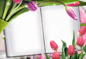 Photo effect from category Women's photo frames № 145223