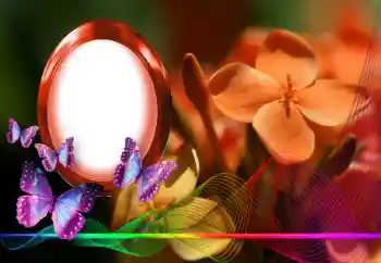 Photo effect from category Women's photo frames № 146254 Photo effect from category Women's photo frames № 146254