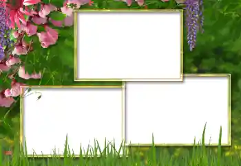 Photo effect from category Women's photo frames № 146298 Photo effect from category Women's photo frames № 146298